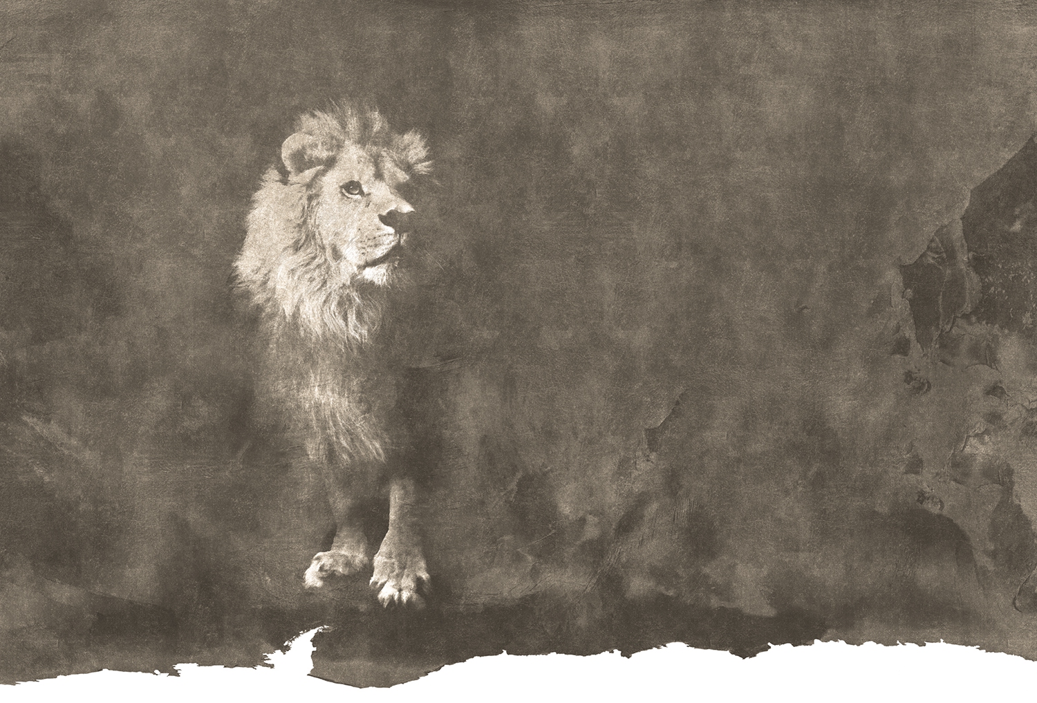 华体会体育官方在线官网 - 附件|装饰画/墙饰|办公家具|华体会体育官方在线官网家具|狮子-原创定制壁画