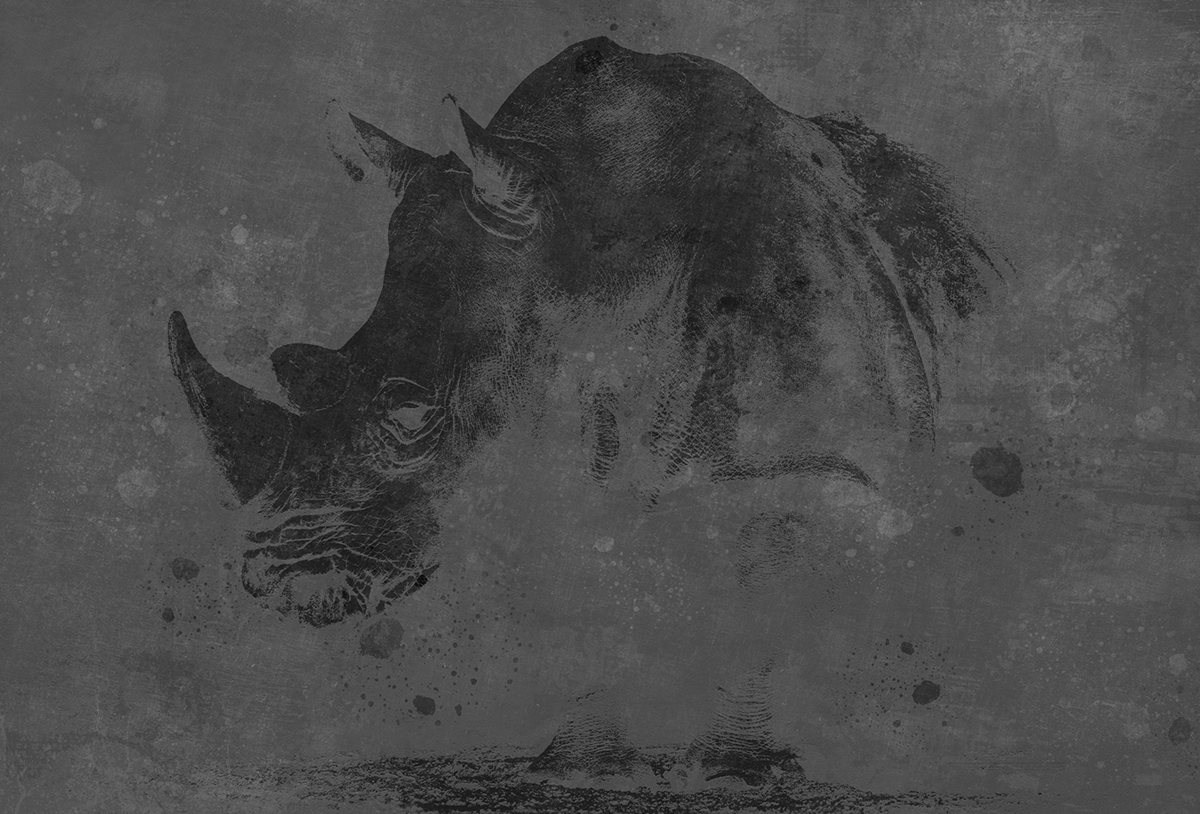 华体会体育官方在线官网 - 附件|装饰画/墙饰|办公家具|华体会体育官方在线官网家具|犀牛-原创定制壁画