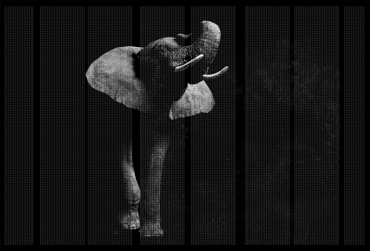 [华体会体育官方在线官网 - 附件|装饰画/墙饰|办公家具|华体会体育官方在线官网家具|非洲-原创定制壁画]