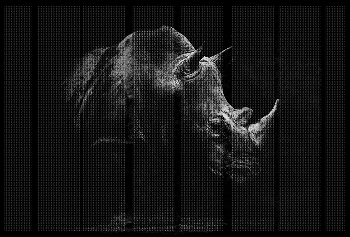 华体会体育官方在线官网 - 附件|装饰画/墙饰|办公家具|华体会体育官方在线官网家具|非洲-原创定制壁画