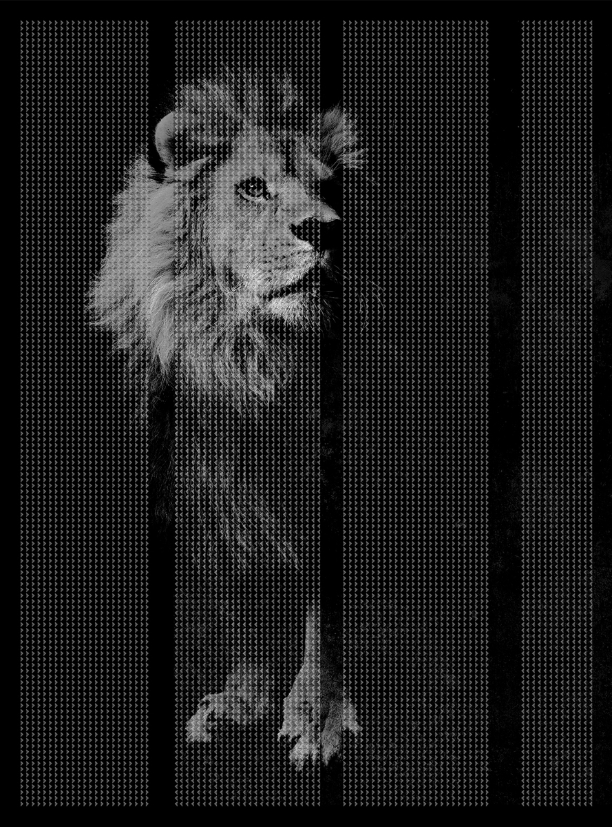 华体会体育官方在线官网 - 附件|装饰画/墙饰|办公家具|华体会体育官方在线官网家具|非洲-原创定制壁画