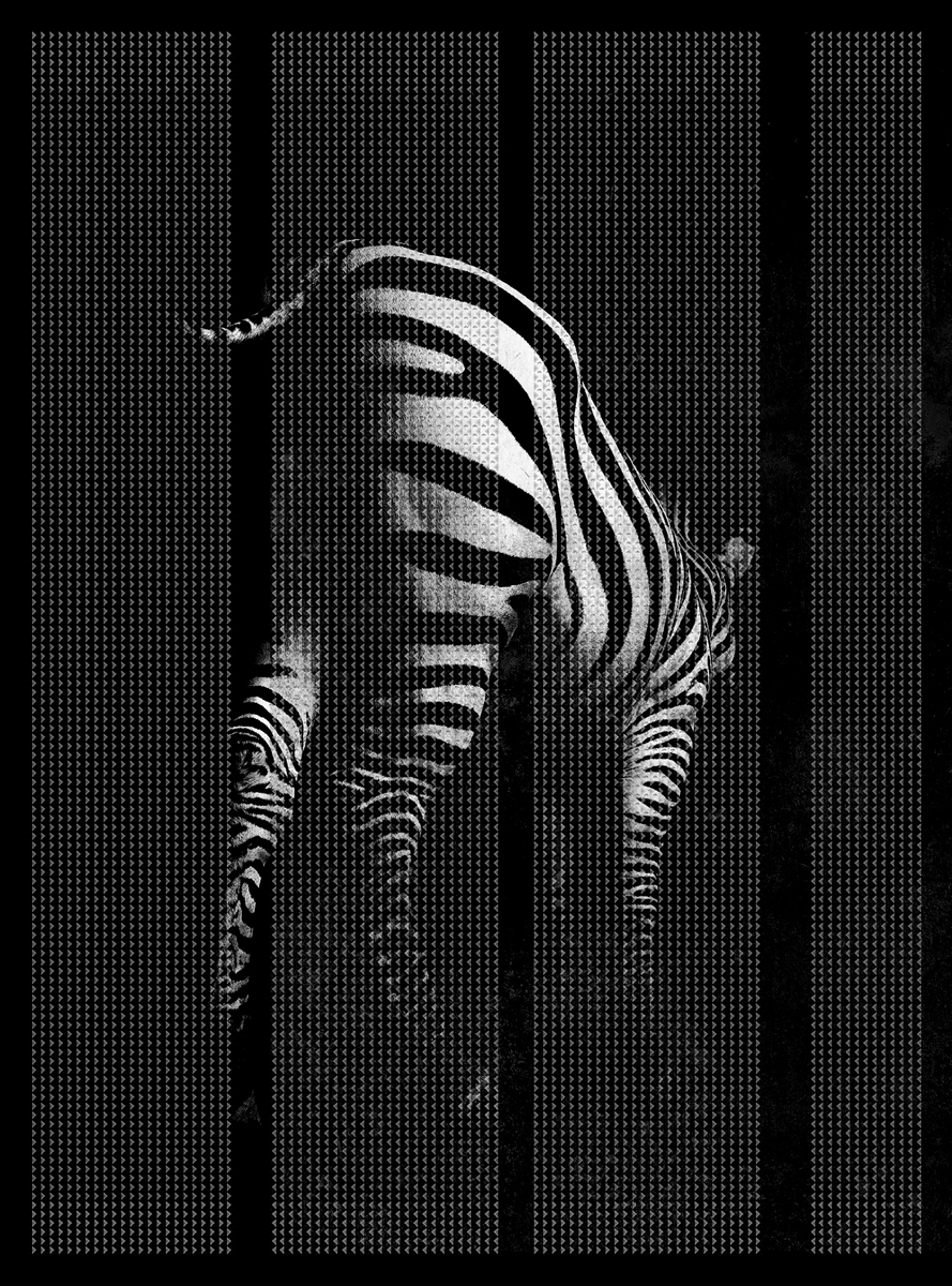 华体会体育官方在线官网 - 附件|装饰画/墙饰|办公家具|华体会体育官方在线官网家具|非洲-原创定制壁画