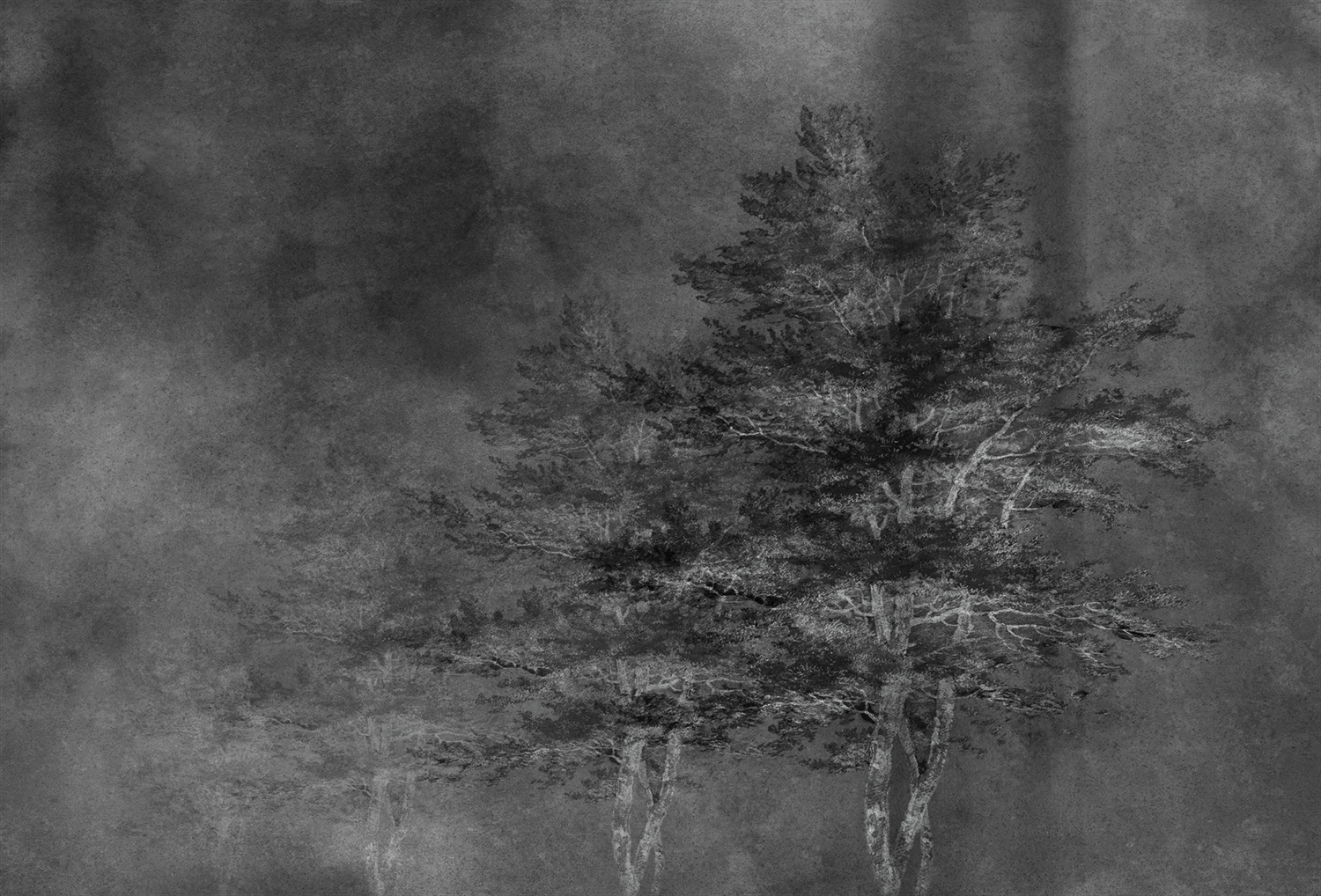 华体会体育官方在线官网 - 附件|装饰画/墙饰|办公家具|华体会体育官方在线官网家具|雾凇-原创定制壁画