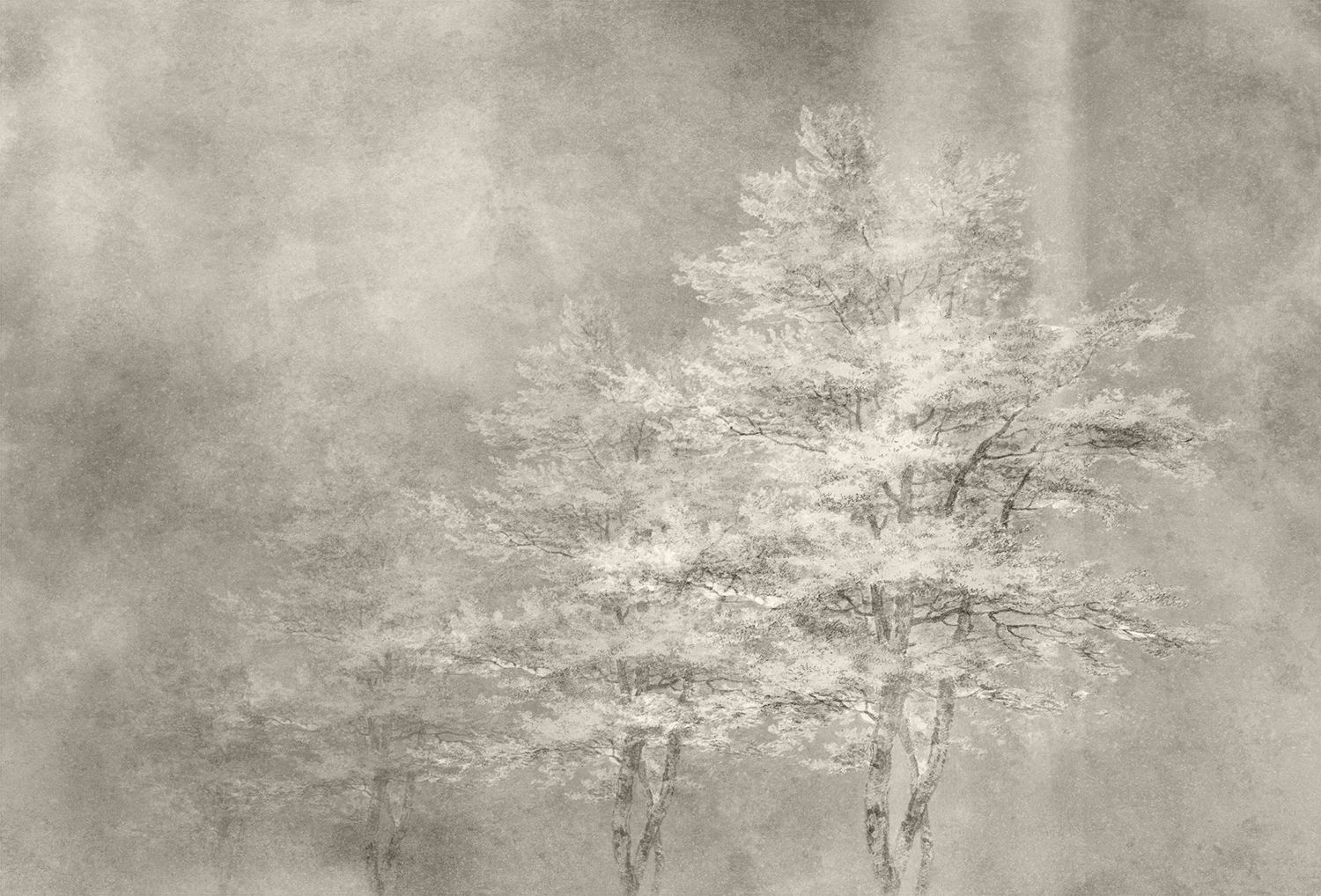 华体会体育官方在线官网 - 附件|装饰画/墙饰|办公家具|华体会体育官方在线官网家具|雾凇-原创定制壁画