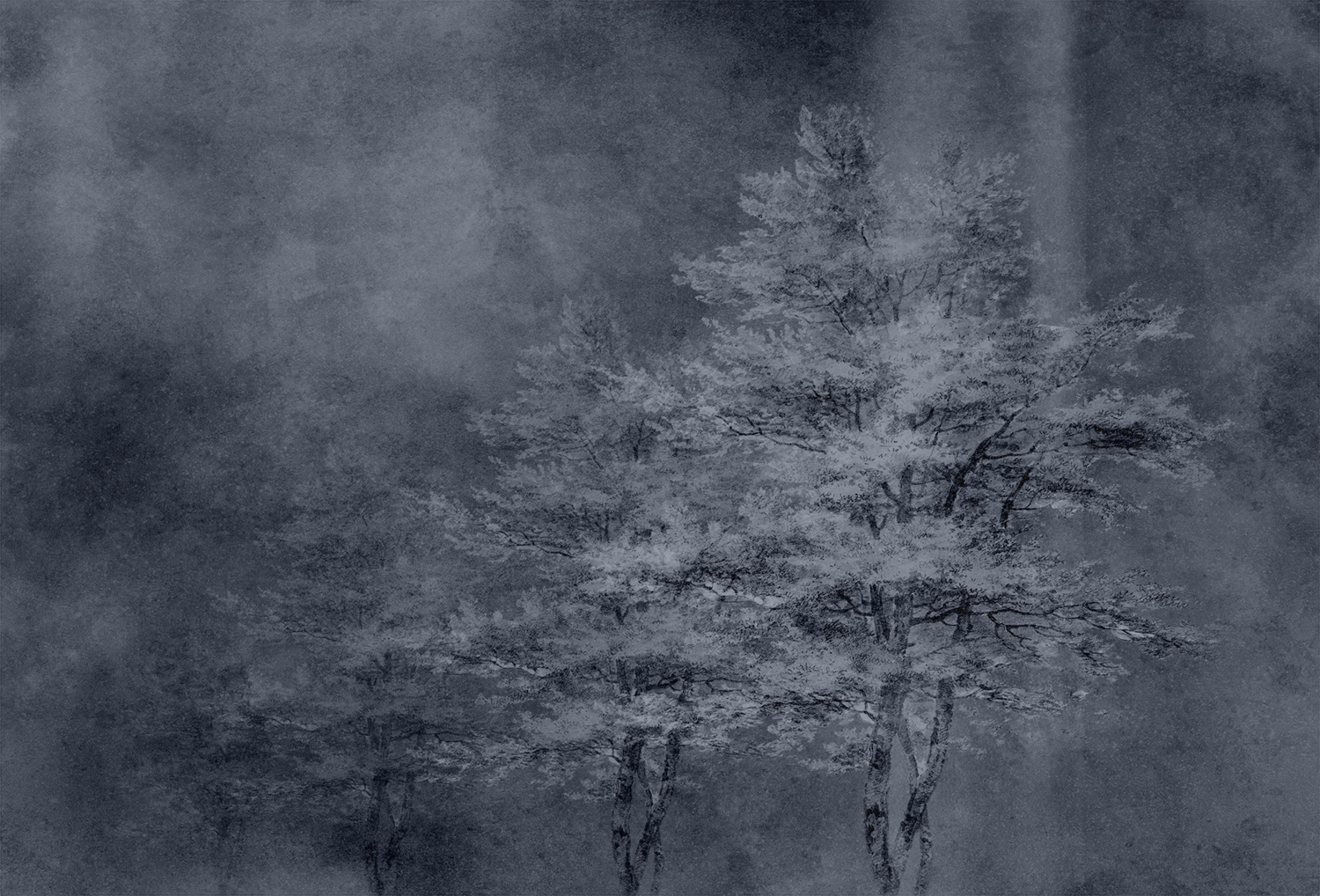 华体会体育官方在线官网 - 附件|装饰画/墙饰|办公家具|华体会体育官方在线官网家具|雾凇-原创定制壁画