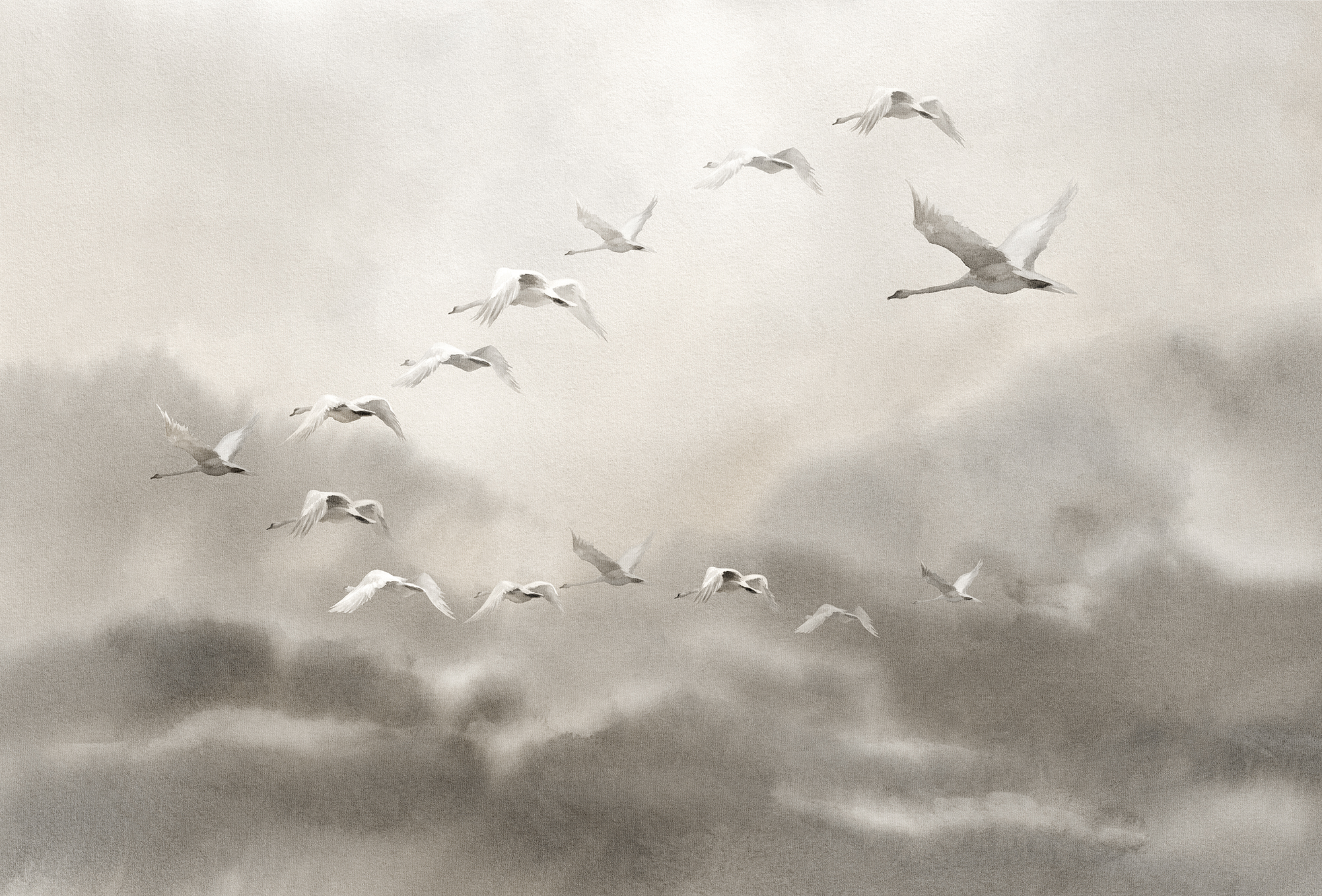 华体会体育官方在线官网 - 附件|装饰画/墙饰|办公家具|华体会体育官方在线官网家具|候鸟Ⅱ-原创定制壁画