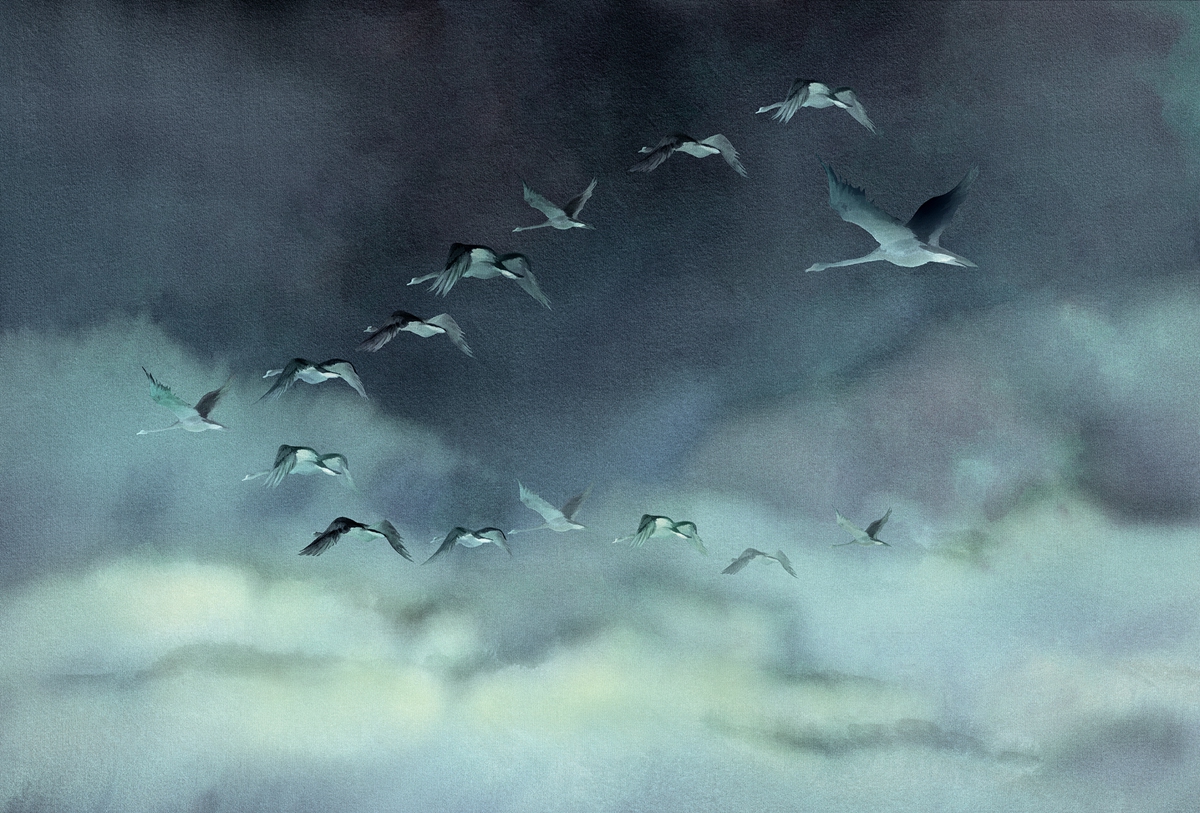 华体会体育官方在线官网 - 附件|装饰画/墙饰|办公家具|华体会体育官方在线官网家具|候鸟Ⅱ-原创定制壁画