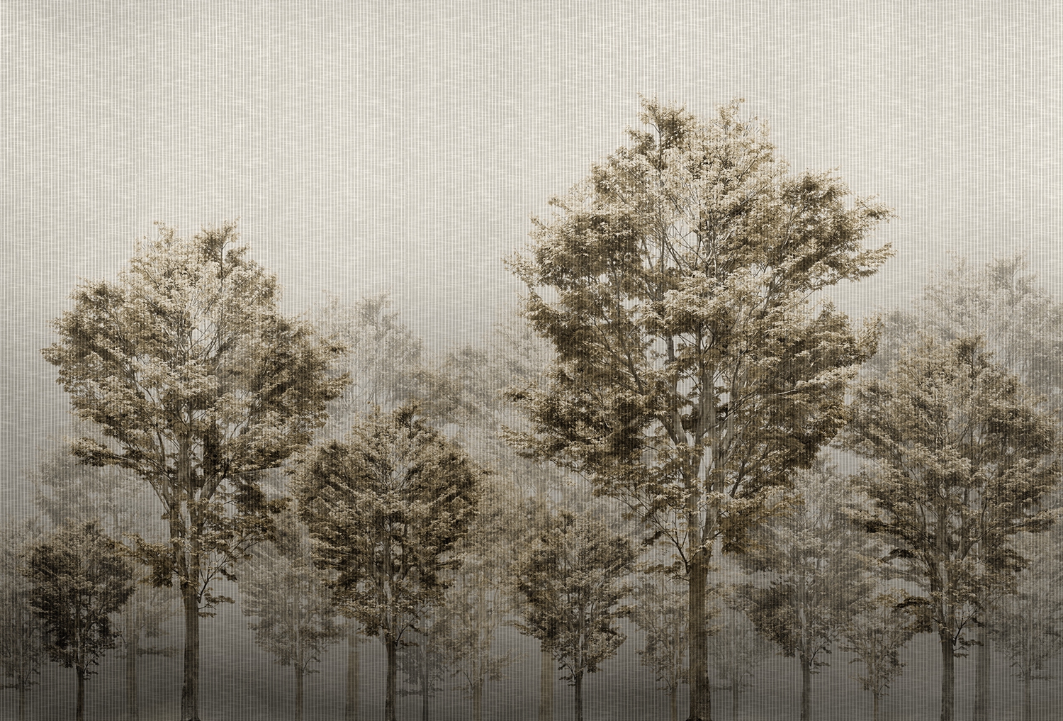 华体会体育官方在线官网 - 附件|装饰画/墙饰|办公家具|华体会体育官方在线官网家具|从林-原创定制壁画