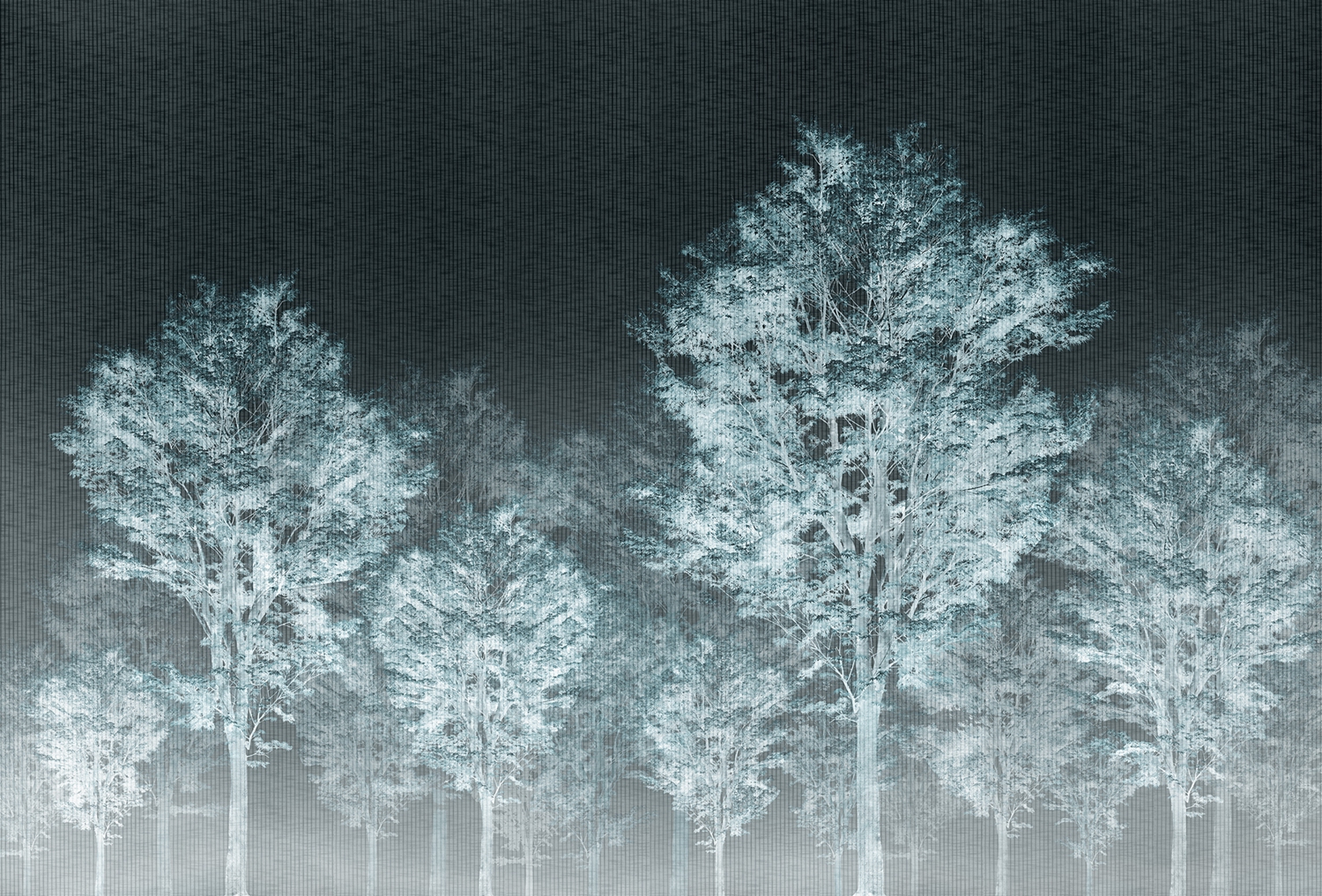 华体会体育官方在线官网 - 附件|装饰画/墙饰|办公家具|华体会体育官方在线官网家具|从林-原创定制壁画