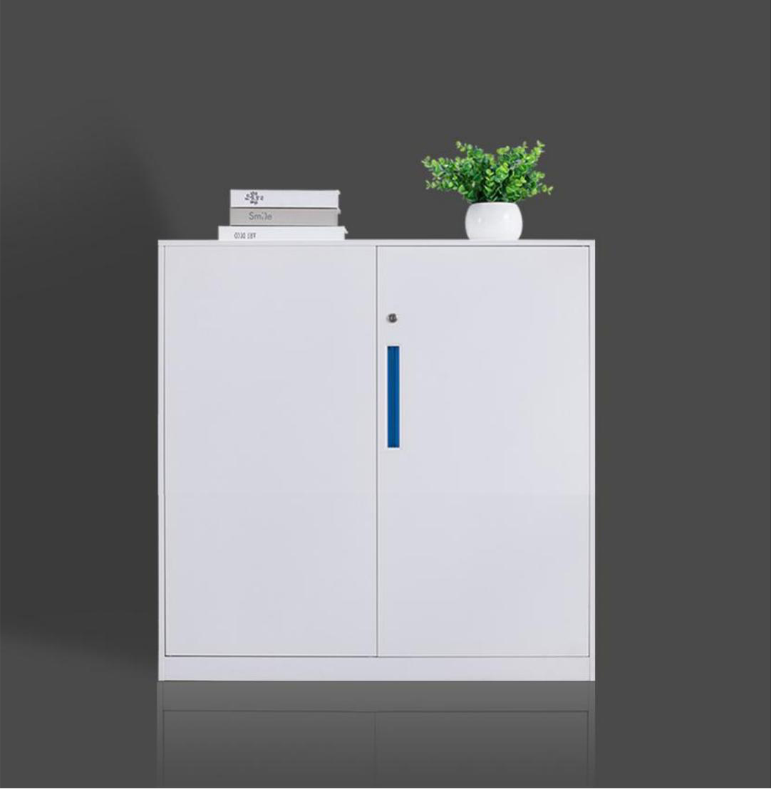 [钢制文件柜|文件柜系列|办公家具|华体会体育官方在线官网家具|钢制二层开门柜]