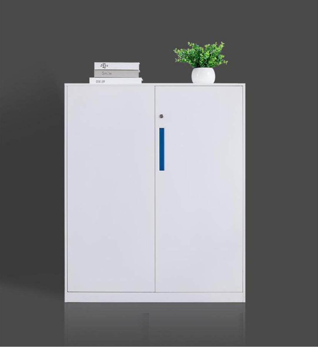 [钢制文件柜|文件柜系列|办公家具|华体会体育官方在线官网家具|二层钢制开门柜]