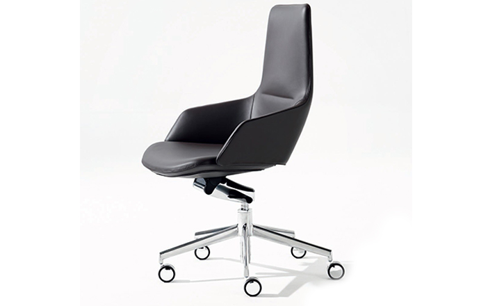 华体会体育官方在线官网 - 坐具|任务椅|办公家具|华体会体育官方在线官网家具|阿斯顿办公椅