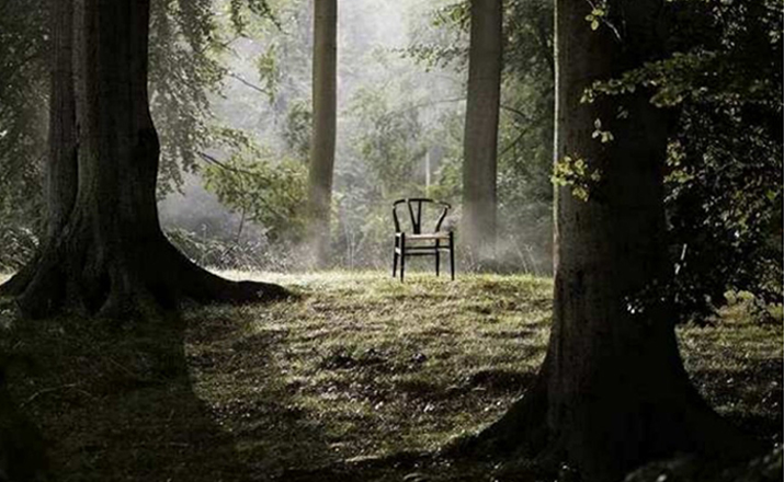 华体会体育官方在线官网 - 坐具|餐椅|办公家具|华体会体育官方在线官网家具|Y椅