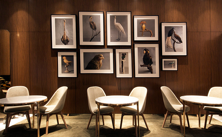 华体会体育官方在线官网 - 坐具|餐椅|办公家具|华体会体育官方在线官网家具|Solo餐椅