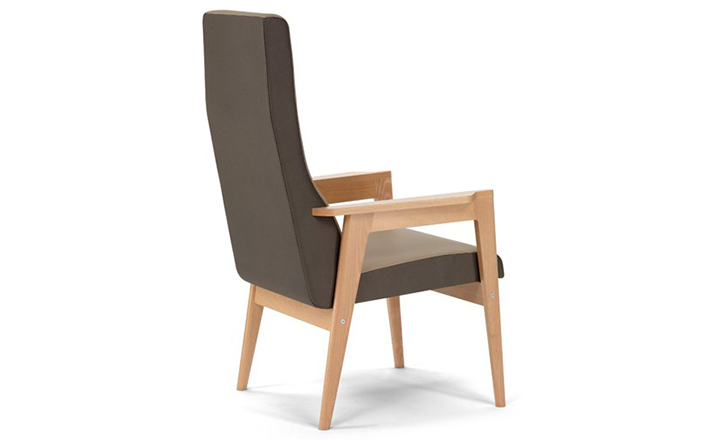 华体会体育官方在线官网 - 坐具|休闲椅|办公家具|华体会体育官方在线官网家具|Danesa 扶手椅