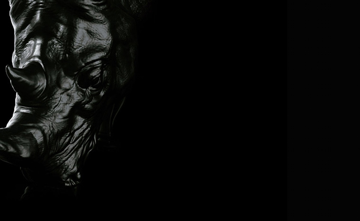 华体会体育官方在线官网 - 坐具|休闲椅|办公家具|华体会体育官方在线官网家具|犀牛椅