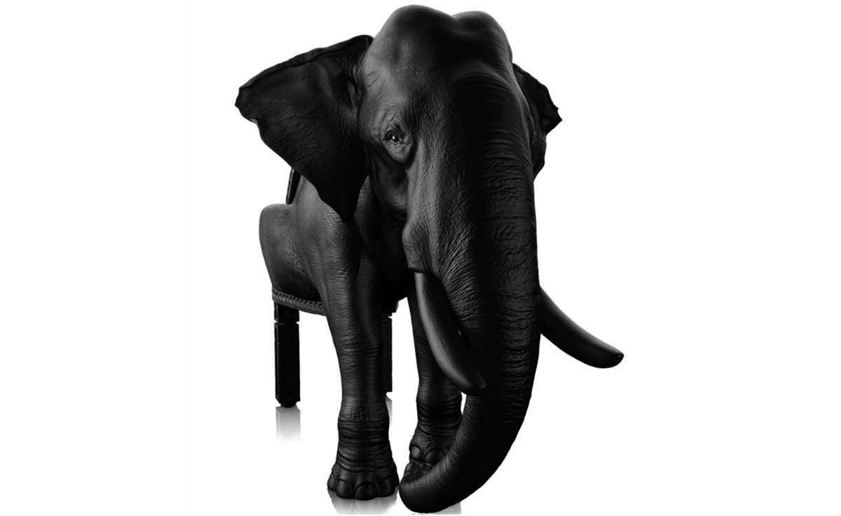 [华体会体育官方在线官网 - 坐具|休闲椅|办公家具|华体会体育官方在线官网家具|大象椅]