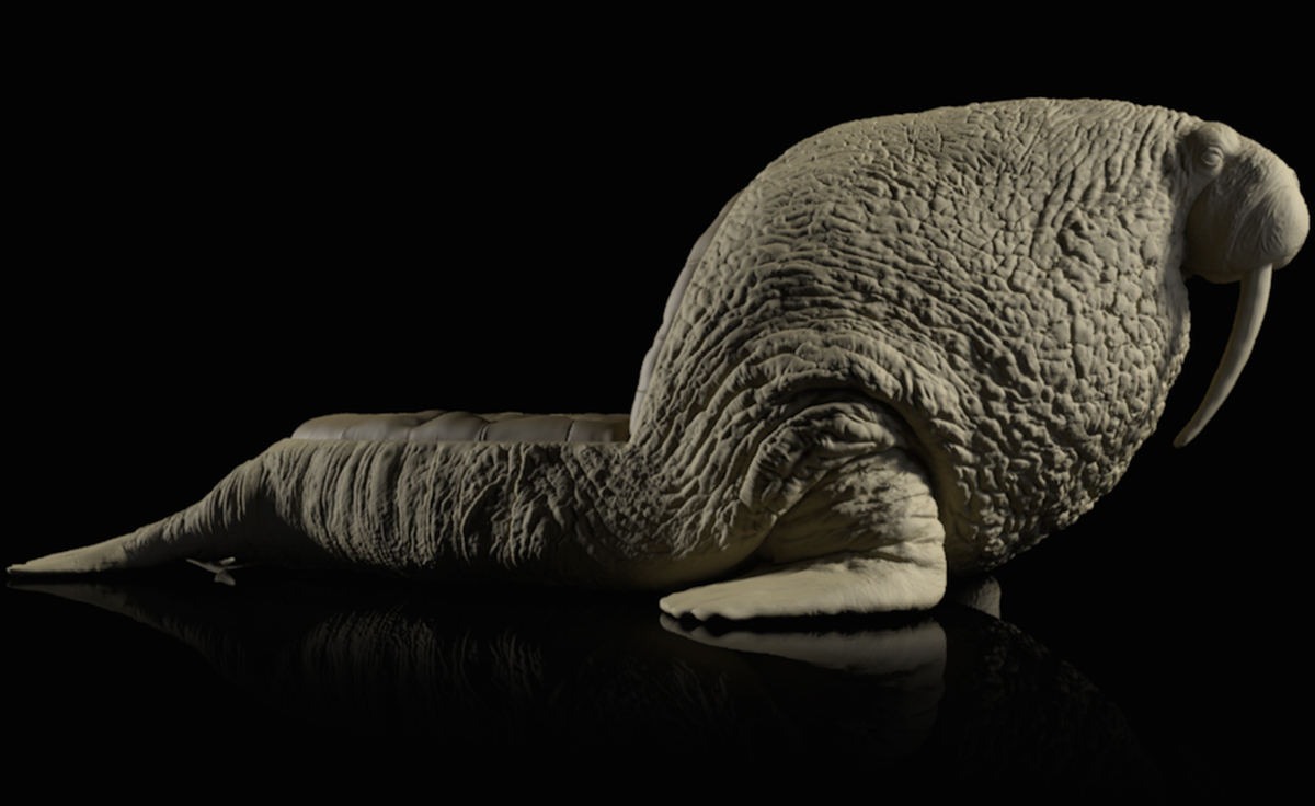 华体会体育官方在线官网 - 坐具|休闲椅|办公家具|华体会体育官方在线官网家具|海象椅