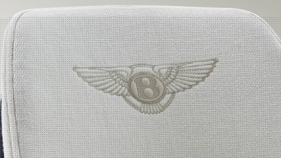 华体会体育官方在线官网 - 坐具|餐椅|办公家具|华体会体育官方在线官网家具|肯德尔椅子