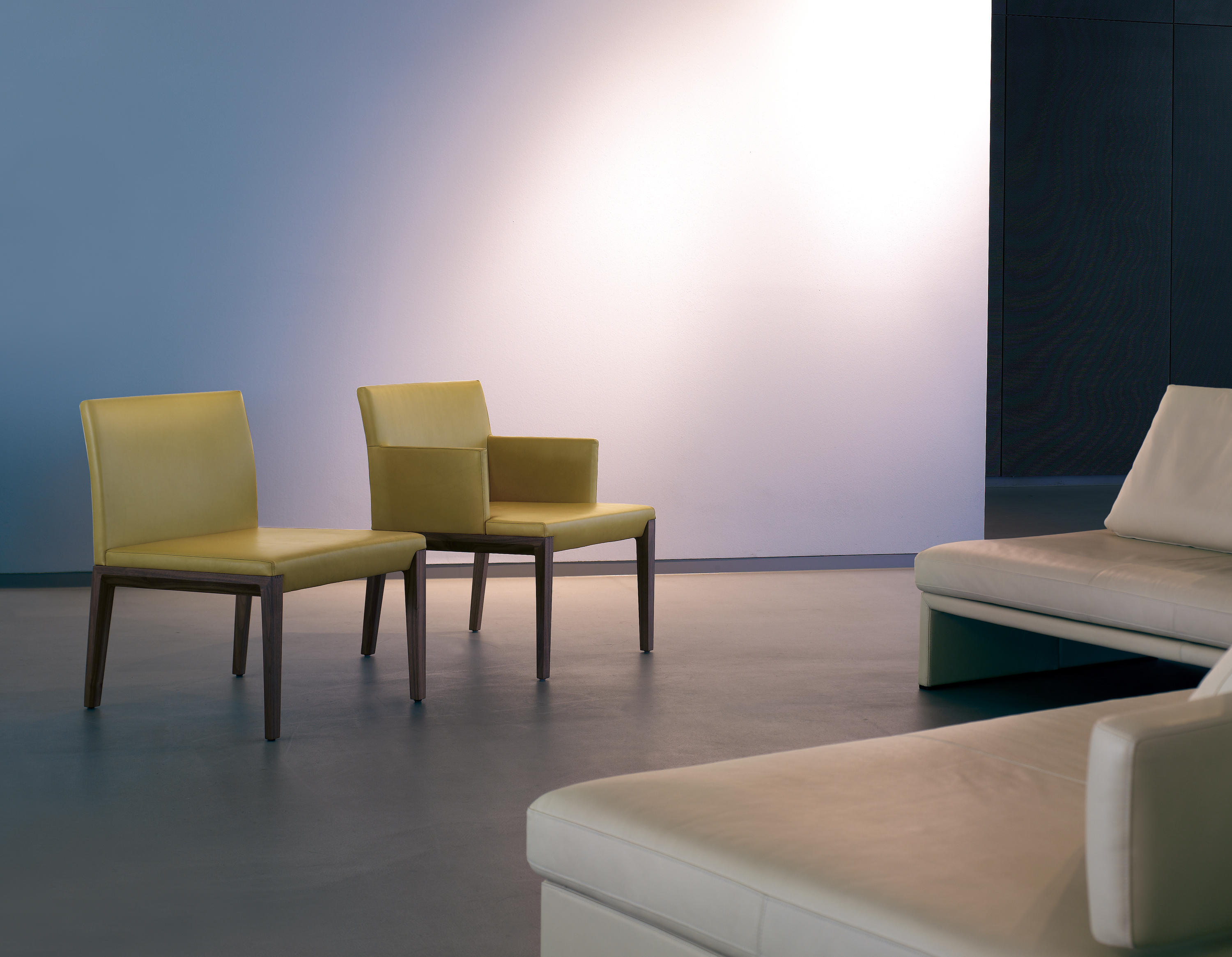 华体会体育官方在线官网 - 坐具|餐椅|办公家具|华体会体育官方在线官网家具|Andoo.餐椅