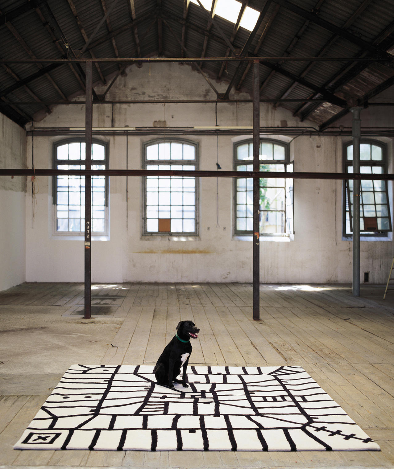 华体会体育官方在线官网 - 附件|地毯|办公家具|华体会体育官方在线官网家具|丛林地狱黑白地毯