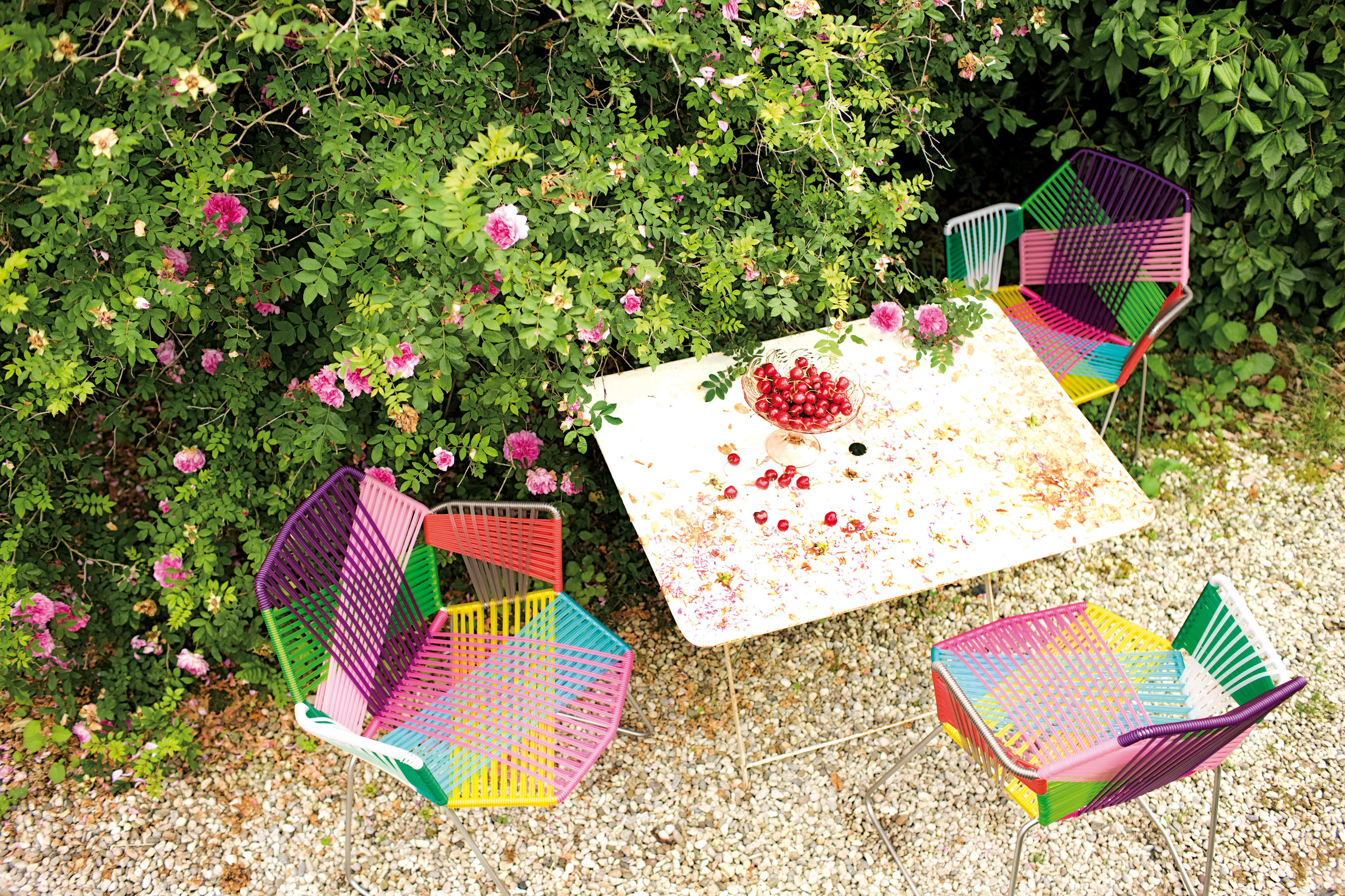 华体会体育官方在线官网 - 坐具|户外椅|办公家具|华体会体育官方在线官网家具|热带风潮扶手椅