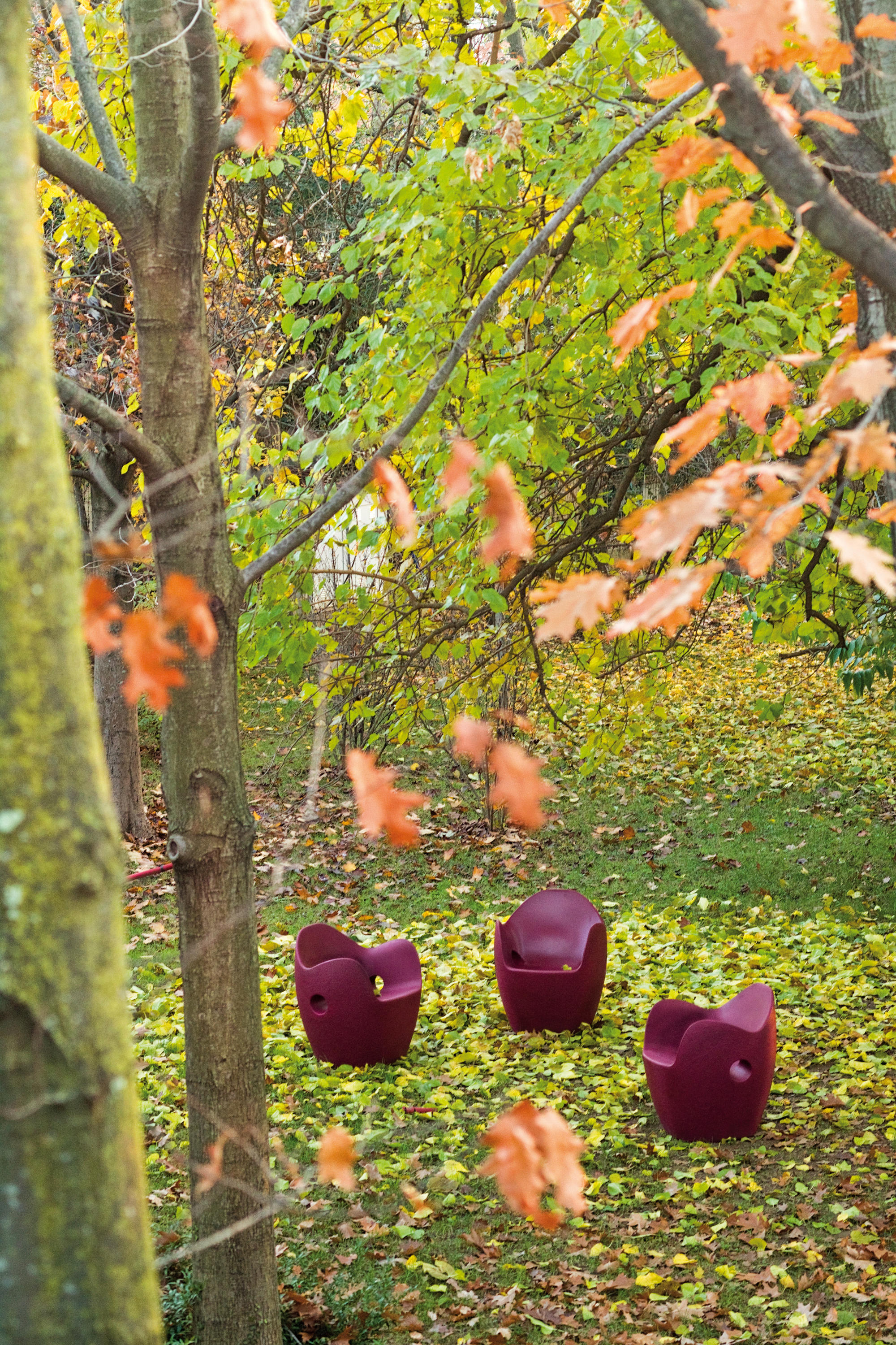 华体会体育官方在线官网 - 坐具|户外椅|办公家具|华体会体育官方在线官网家具|O 型窝扶手椅