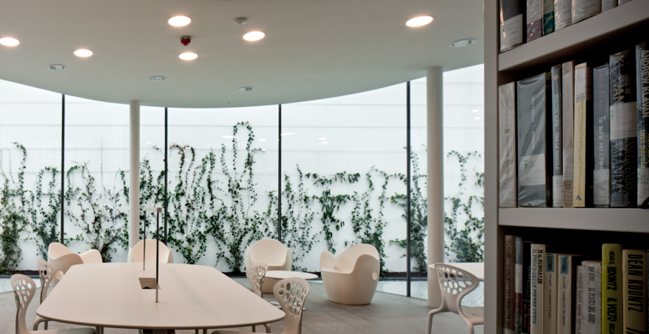 华体会体育官方在线官网 - 坐具|户外椅|办公家具|华体会体育官方在线官网家具|O 型窝扶手椅