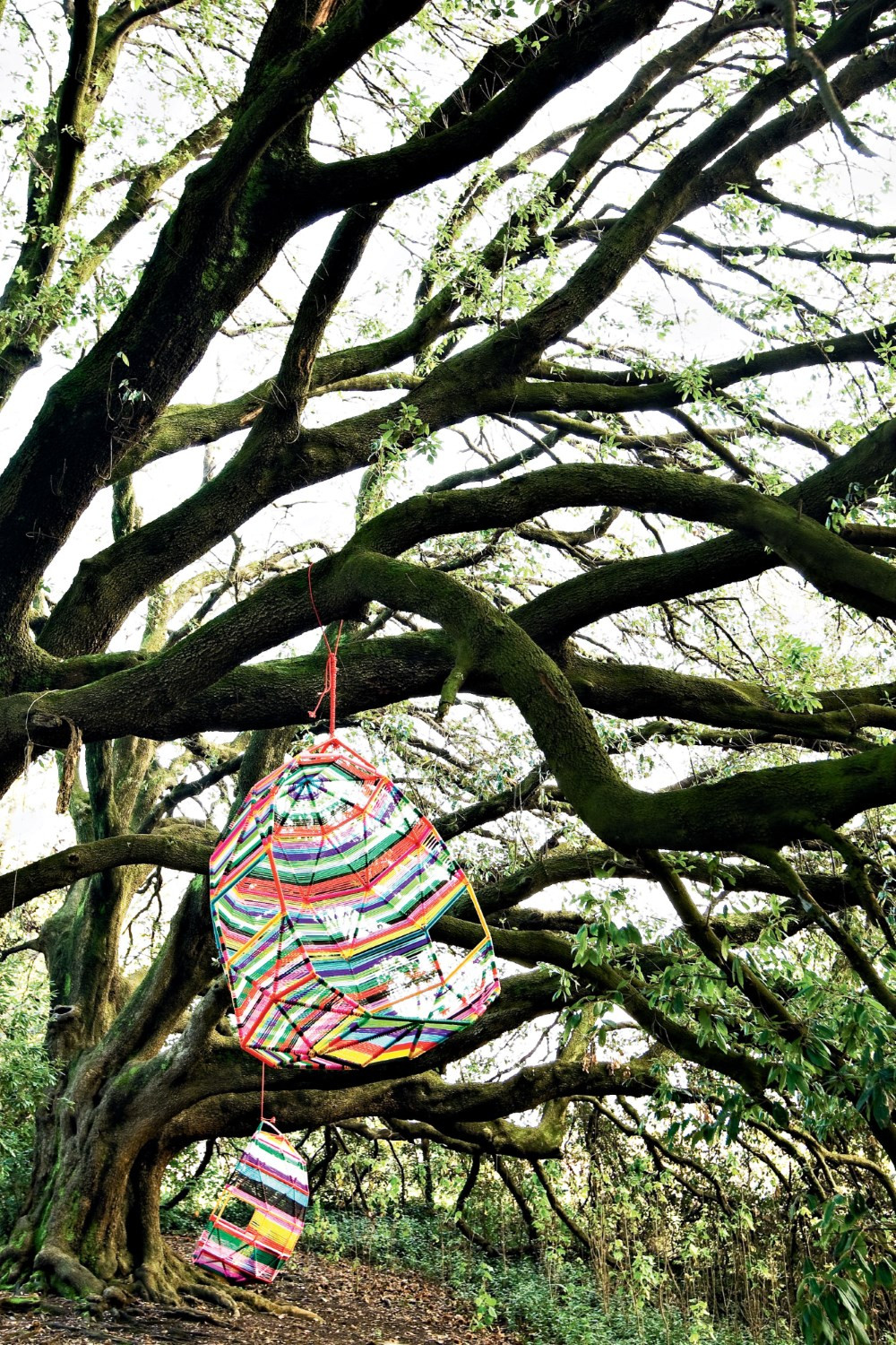 华体会体育官方在线官网 - 坐具|户外椅|办公家具|华体会体育官方在线官网家具|茧休闲吊椅/床