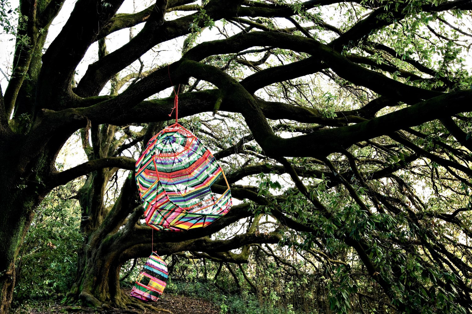 华体会体育官方在线官网 - 坐具|户外椅|办公家具|华体会体育官方在线官网家具|茧休闲吊椅/床