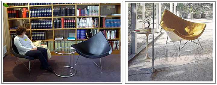 现代经典休闲椅|真皮休闲椅|办公家具|椰壳休闲椅|真皮休闲椅，椰壳椅，休闲椅