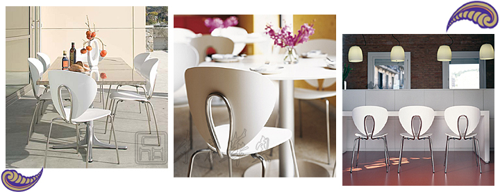 现代经典休闲椅|塑料休闲椅|办公家具|塑料单椅|塑料休闲椅，塑料椅，餐椅，会议椅，洽谈椅，单椅，餐厅椅，咖啡厅椅