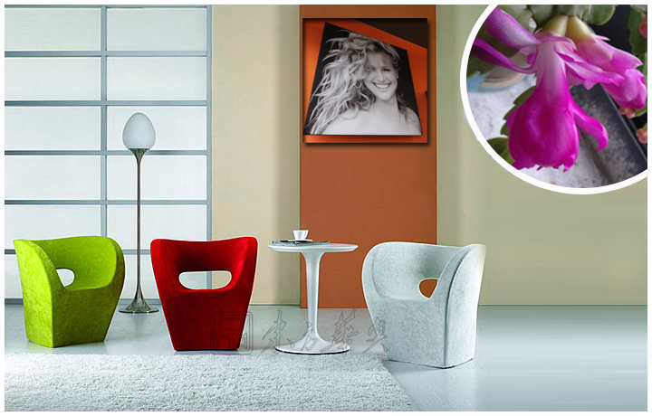 现代经典休闲椅|布面休闲椅|办公家具|小阿尔贝特椅|休闲椅，布面休闲椅，华体会体育官方在线官网椅，茶餐厅椅，酒吧椅