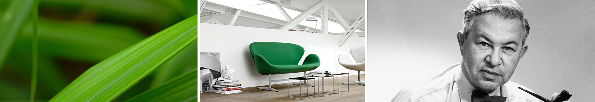 华体会体育官方在线官网 华体会体育官方在线官网 雅各布森