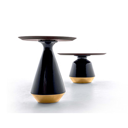 Amira CG-L013