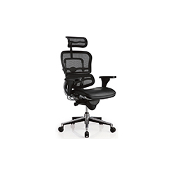 Erghuman plus office chair CG-金豪-1002-1