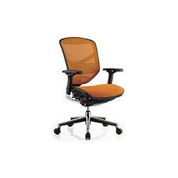 ENJOY office chair CG-金卓-1005-9